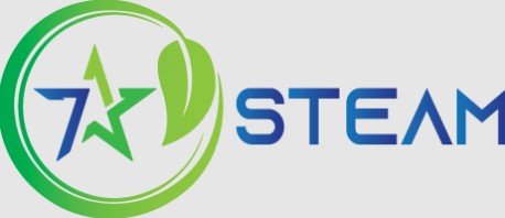 6 Best Car Detailing Shops in Houston 7 713 Steam