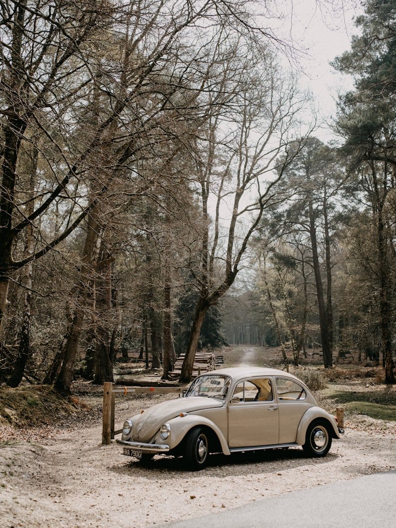 Vw Beetle Years To Avoid Vw Beetle Years To Avoid